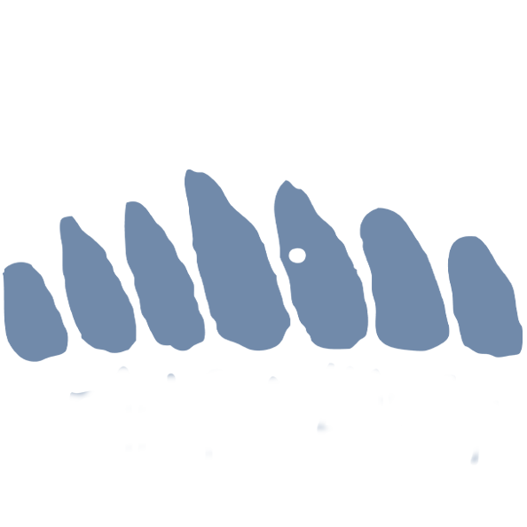 Race Logo Trans d'Havet